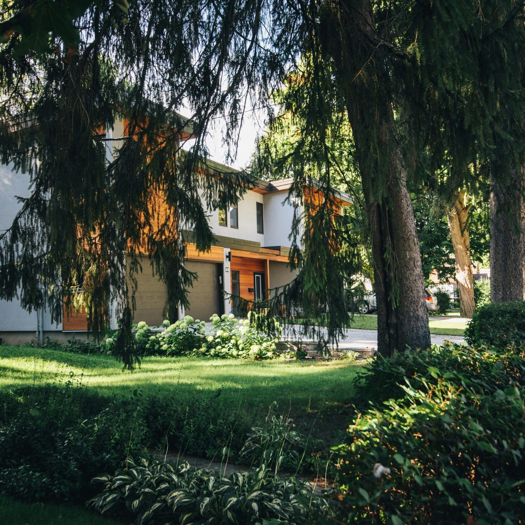 pexels-scottwebb-140963