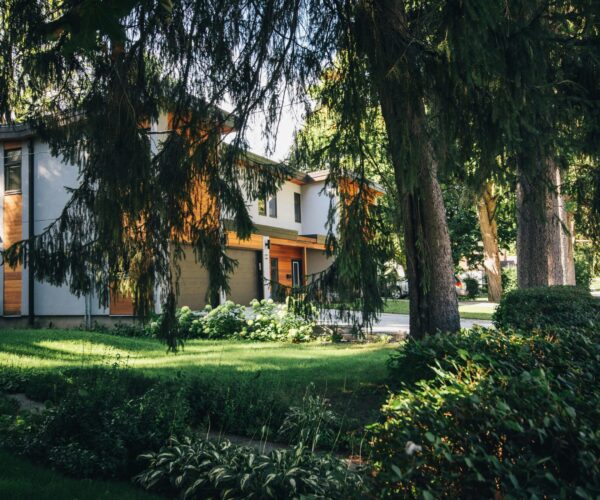 pexels-scottwebb-140963