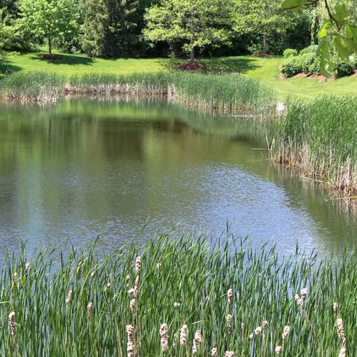 Bio-Retention-Project-Gallery-3