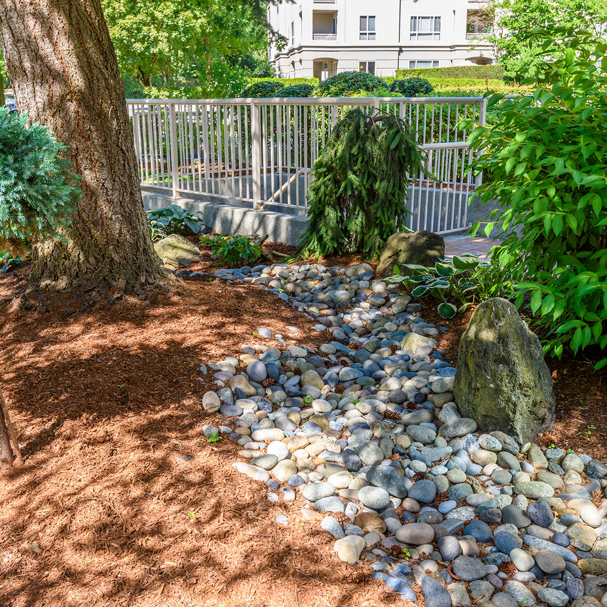 Dry-Creek-Beds-Project-Gallery-1