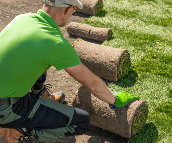 Seed-and-Sod Seed-and-Sod
