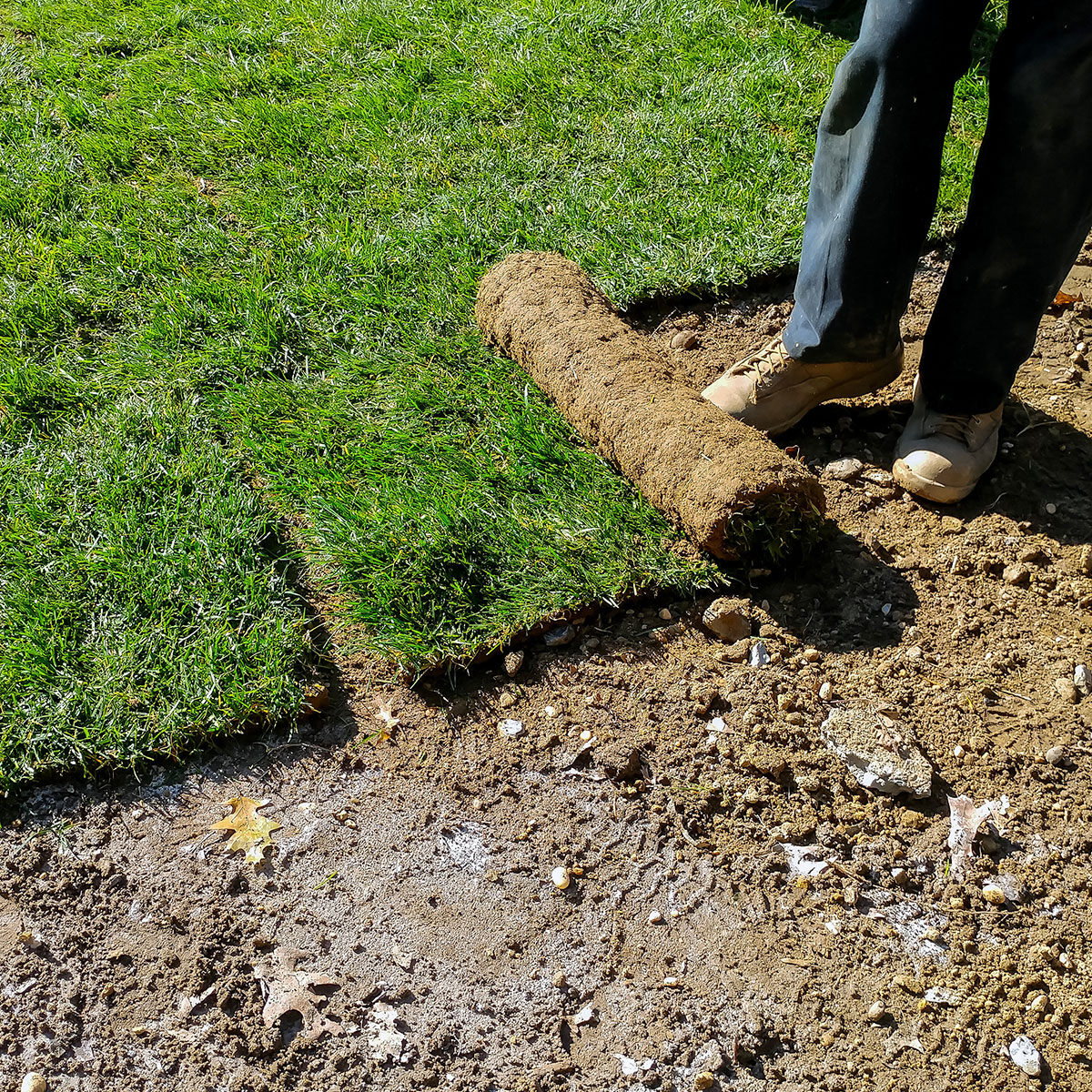 Seed-and-Sod-Project-Gallery-1