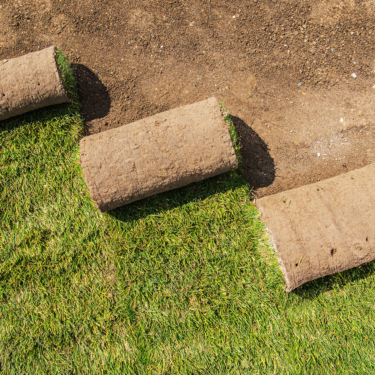 Seed-and-Sod-Project-Gallery-2