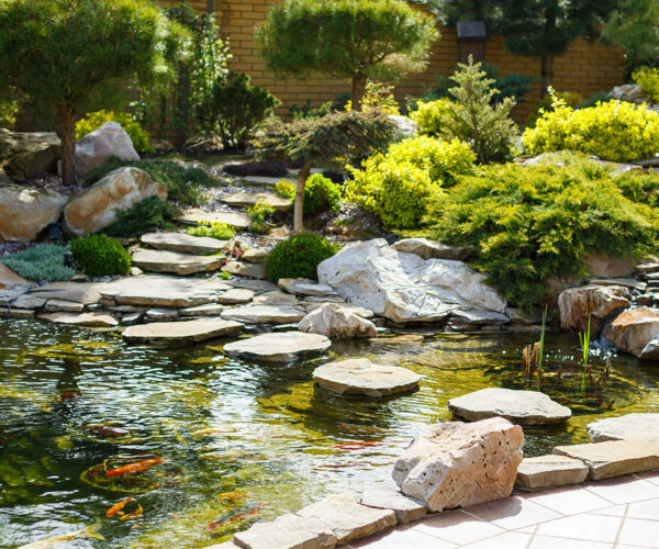 Water-Features